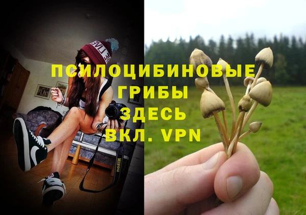 экстази Алексин